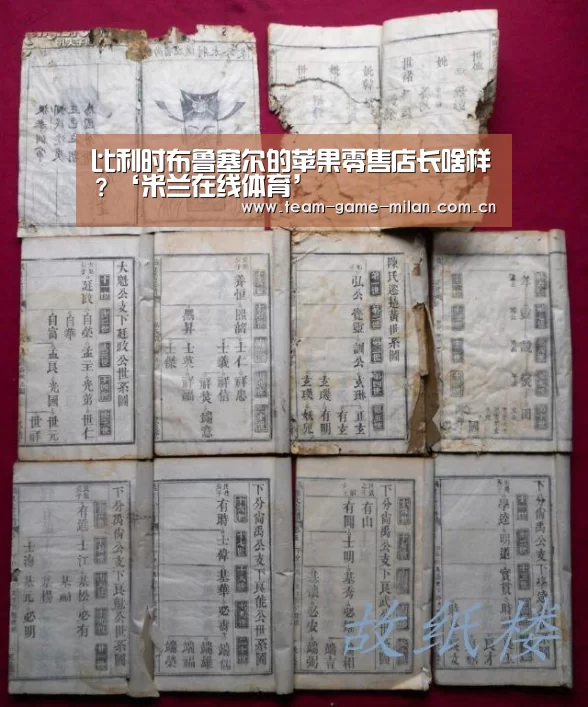 比利时布鲁塞尔的苹果零售店长啥样?‘米兰在线体育’(图3) 国际米兰中文官网