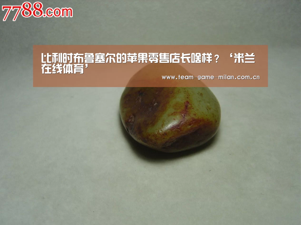 比利时布鲁塞尔的苹果零售店长啥样?‘米兰在线体育’(图4) 米兰在线体育