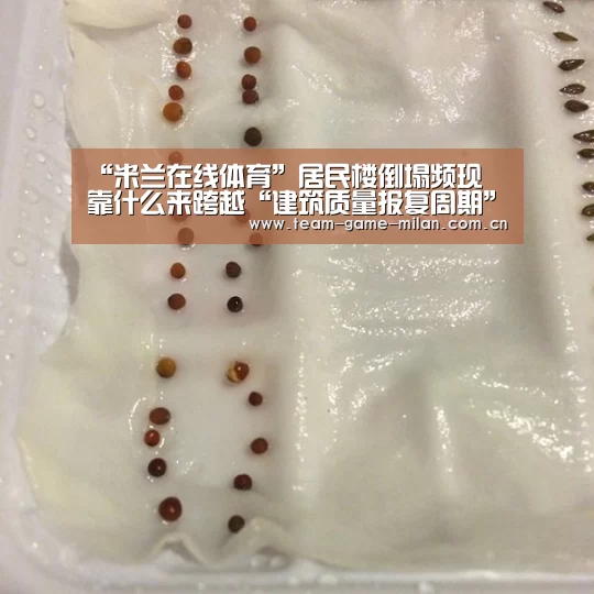 “米兰在线体育”居民楼倒塌频现 靠什么来跨越“建筑质量报复周期”(图1) 国际米兰中文官网